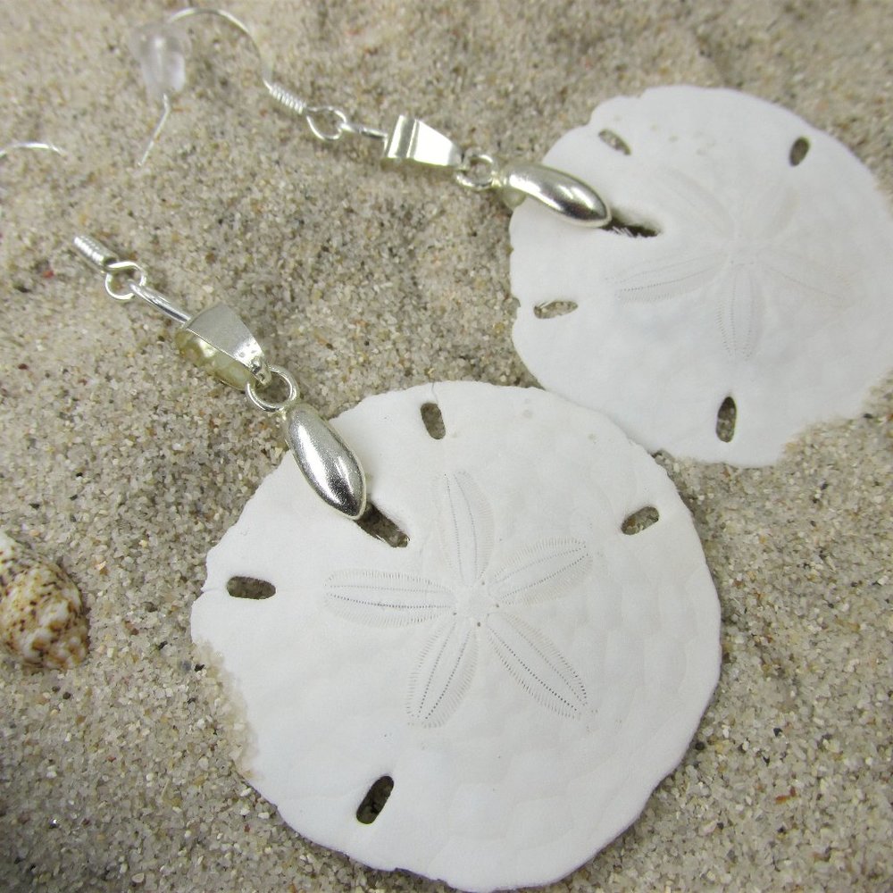 White Gold Plated Real Sand Dollar Earrings